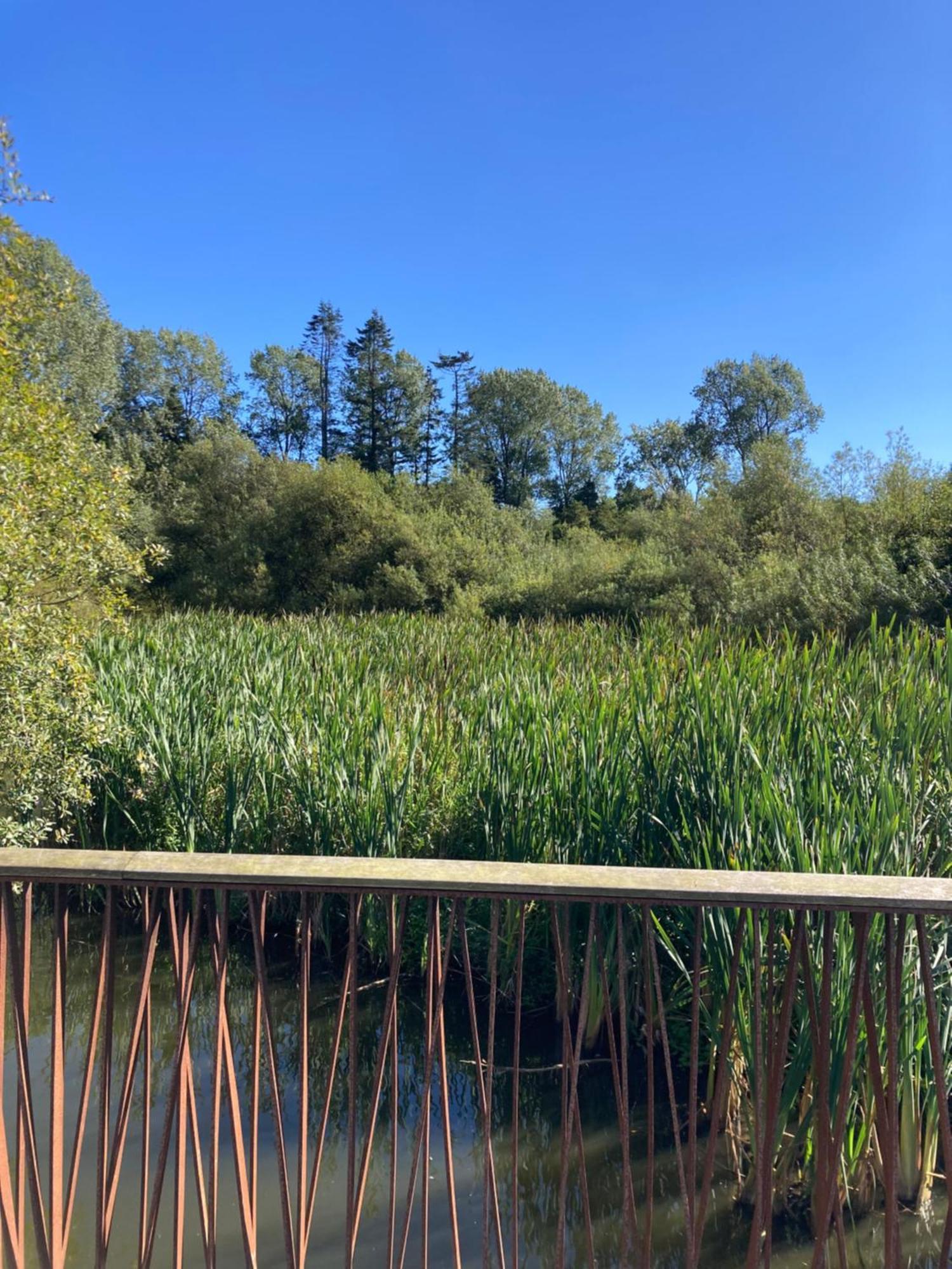 Duncan's At Royal Hillsborough